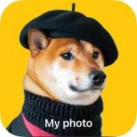 Photo Widget for iPhone cover